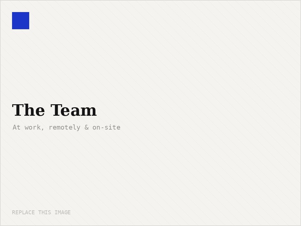 The team at work